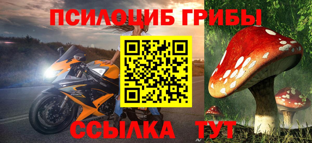  COCAIN Ульяновск