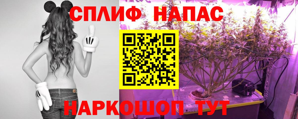 Канабис AK-47  МАРИХУАНА THC 21%  Канабис индика  Ульяновск  Вход с VPN 